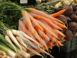 Vegetables - carrots