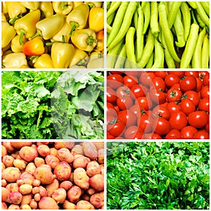 Vegetables collage