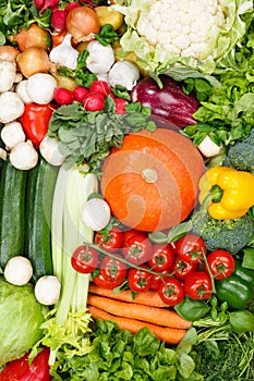 Vegetables collection food background portrait format tomatoes carrots potatoes fresh vegetable