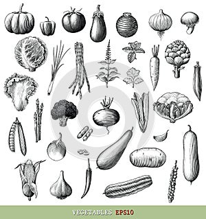 Vegetables collection hand draw engraving vintage style black and white clip art isolated on white background