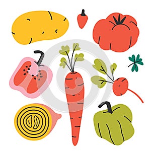 Vegetables collection, isolated hand drawn veggies, farming and gardening products, paprika pepper, carrot, tomato and