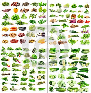 Vegetables collection on white background