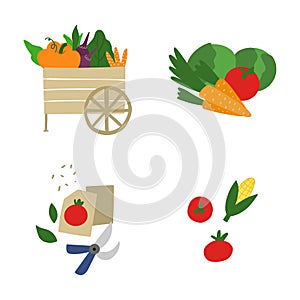 Vegetables compositions. Cart full of vegetable, seeds isolated on white background. Fresh organic food from local market. Carrot