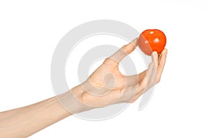 Vegetables and cooking theme: man's hand holding a red ripe tomato isolated on white background in studio