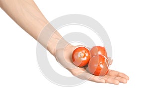 Vegetables and cooking theme: man's hand holding three red ripe tomatoes isolated on a white background in studio