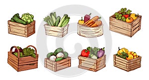 Vegetables in different rustic boxes and baskets. Wooden box for veggie, agriculture market elements. Cartoon sketch