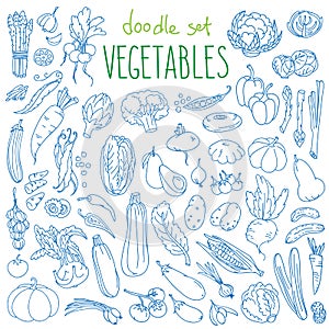 Vegetables doodle set. Green organic products for healthy diet.