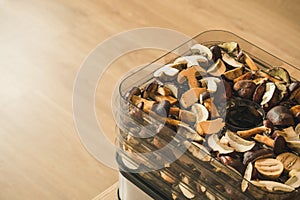 Vegetables dryer on wooden table with wooden background. Preparing for drying mushrooms