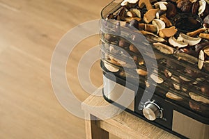 Vegetables dryer on wooden table with wooden background. Preparing for drying mushrooms