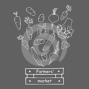 Vegetables fall into box with inscription Farmers market. Hand drawn Flat Cartoon illustration. Healthy food Vector