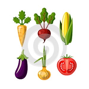 Vegetables flat icons isolated on white background. Carrot, beetroot or beet, corn, onion and tomate and eggplant. Flat