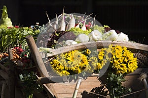 Vegetables and Flowers