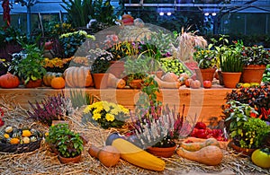 Vegetables among flowers on straw