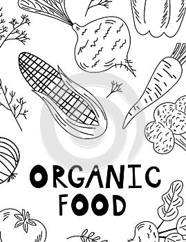 Vegetables food hand drawn line banner. Text Organic Food. Healthy meal, diet, nutrition or lifestyle. Organic food