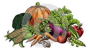 Vegetables Fruit Produce Food Illustration Woodcut