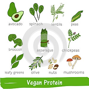 Vegetables and fruits with a high content of Vegan Protein. Hand drawn vitamin set