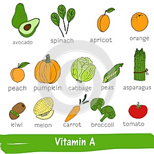 Vegetables and fruits with a high content of Vitamin A. Hand drawn vitamin set