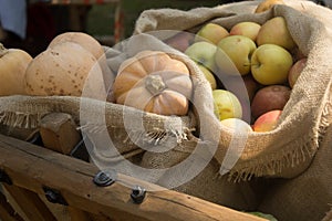 Vegetables and fruits in medieval renessance fair