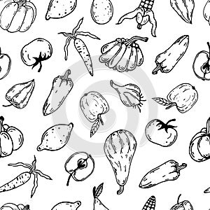Vegetables and fruits seamless vector pattern. Hand drawn doodle on a white background. Contour of carrots, bell peppers, pumpkin