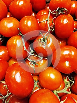 Vegetables and fruits in the supermarket