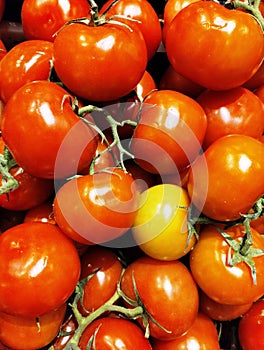 Vegetables and fruits in the supermarket