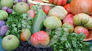 Vegetables and fruits