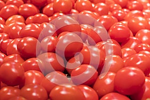 Vegetables are full of vitamins. Fresh and ripe tomatoes in a basket on a supermarket shelf. Ripe tomatoes in a supermarket
