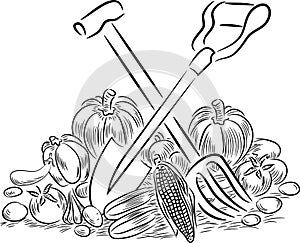 Vegetables and gardening tools