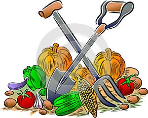 Vegetables and gardening tools