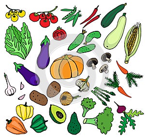 Vegetables green fresh food set for healthy nutrition