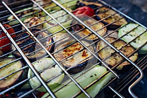 Grilled vegetable and meat skewers in a herb marinade on a grill