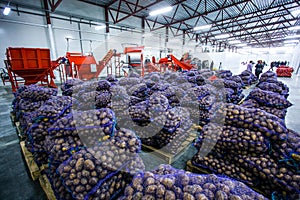 Vegetables and groceries in big warehouse