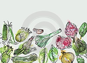 Vegetables Hand-drawn watercolor background with nature mediterranean vegetables. Fresh organic food.
