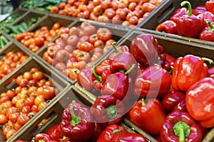 Vegetables harvest in boxes. Agricultural farm vegetables at the market or supermarket.