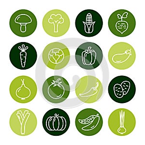 Vegetables Icons Set