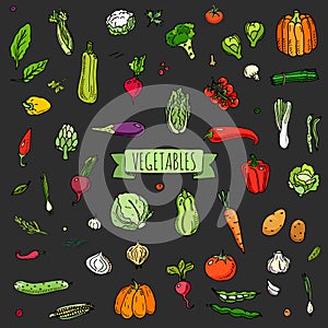 Vegetables icons set