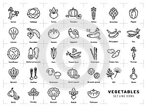 Vegetables icons , Spices logo. Trendy thin line art style