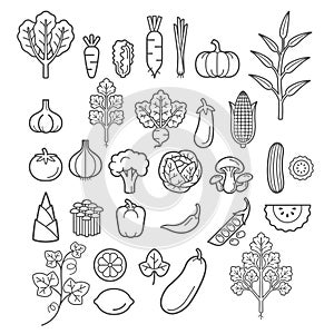 Vegetables icons. Vector Illustration.