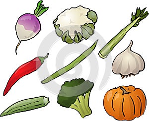 Verduras ilustraciones 