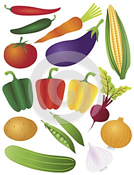 Vegetables Illustration Isolated on White