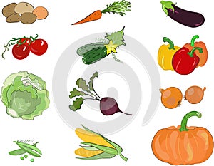 Vegetables images set (vector)