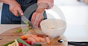 Vegetables knife, hands and cooking person cutting celery, ingredients and meal prep healthy food on wood board