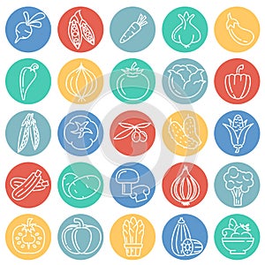 Vegetables line icons set on color circles white background for graphic and web design, Modern simple vector sign. Internet