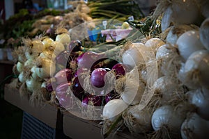 Vegetables in market Montreal.
