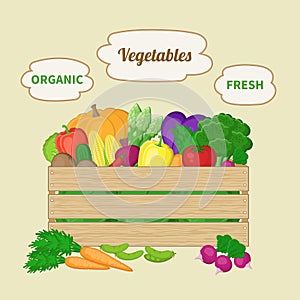 Vegetables mixed in a wooden box. Crate with autumn vegetables. Fresh Organic food from the farm.