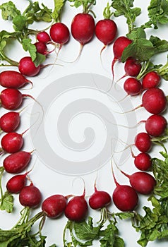 Vegetables In Oval Frame