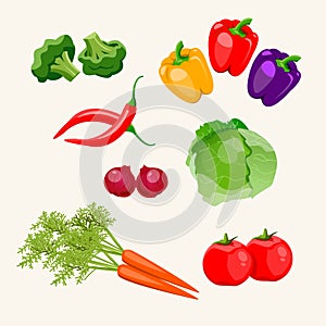 Vegetables Pack Illustration photo
