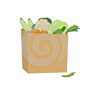 Vegetables in a paper bag. Food Delivery Concept