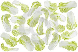 Vegetables pattern, texture of crunch raw green chinese cabbage. Whole head and leaves fly or fall, isolated on white background.