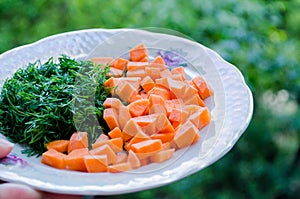 Vegetables on a plate. Carrots and dill. Healthy food. Vegetables. Orange and green. Vegetables for proper nutrition.